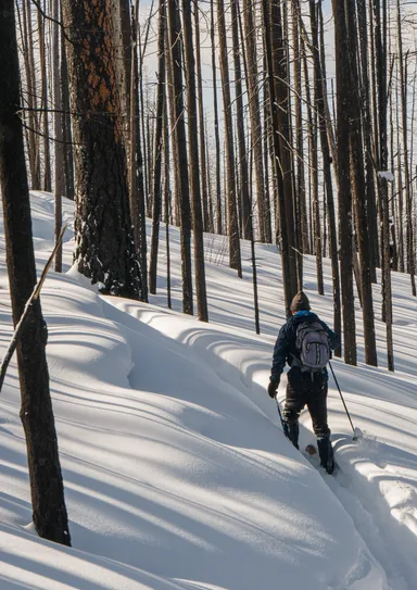 深い雪でも移動がスムーズ