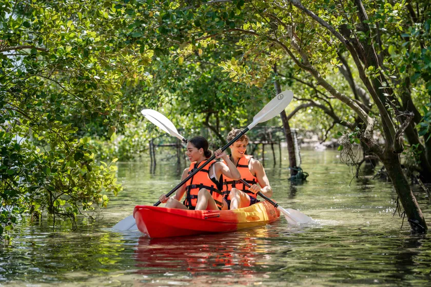 アヴァニ+・コー・ランタ・クラビ・リゾート アクティビティ:マングローブ・カヤック イメージ