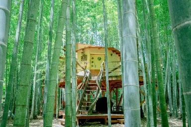 ロフト付きのツリーハウス「キリン庵」
