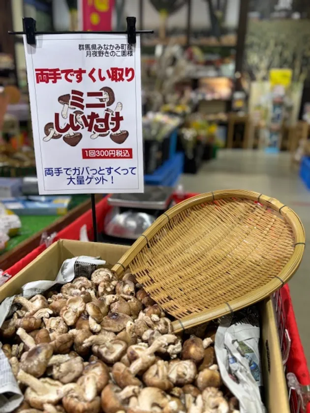 両手ですくい取り・ミニしいたけ