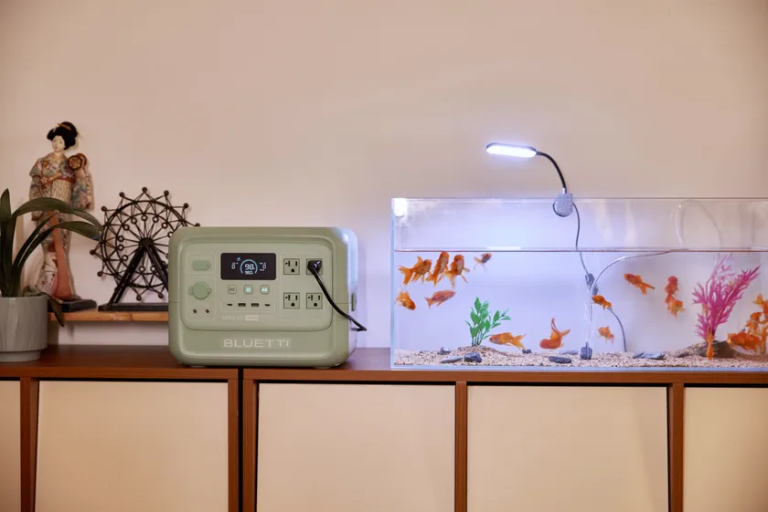 「AORA 100 V2」で、大切なペットにもやさしい電力を