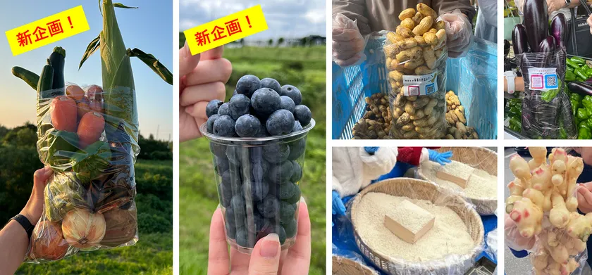 今シーズンも地元生産者さんの愛情たっぷりな旬野菜が豊富なラインアップで登場!