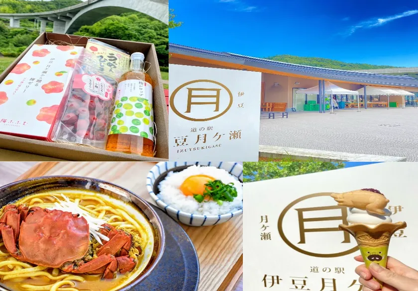道の駅 伊豆月ケ瀬について