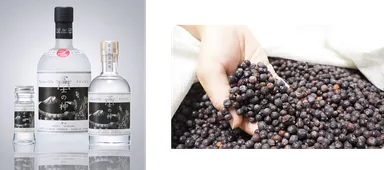 (左)「富士の神 開山」 (右)ジュニパーベリー