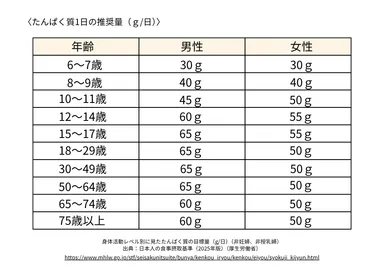 タンパク質の1日の推奨量