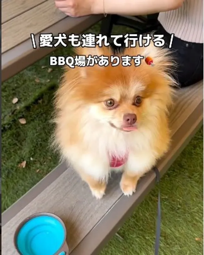 あや様(大泉緑地店)