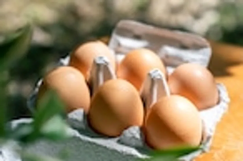 オリーブたまご(生臭さがないと評判)