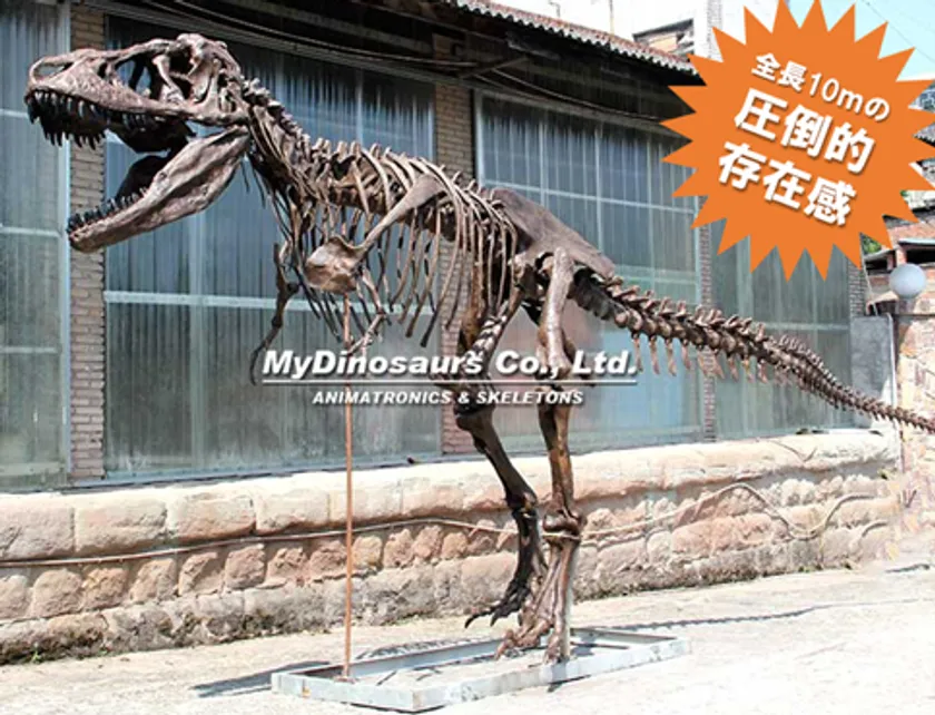ティラノサウルス全身骨格