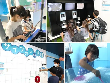 飼育員さんになりきって水族館のウラ側を体験しちゃおう