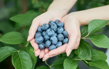 一つひとつ手塩にかけて