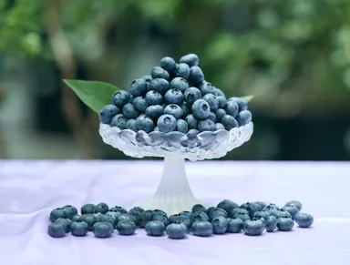 希少な大粒ブルーベリー