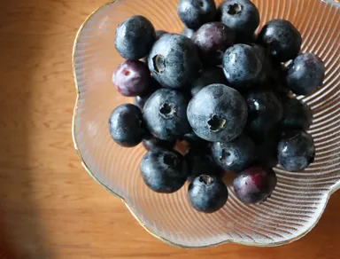 ブルーベリー　2