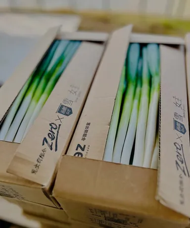 箱詰めされた新鮮な「雪の女王」