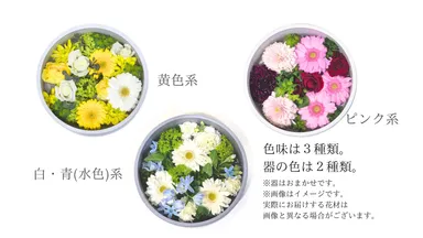 全部で3色です。