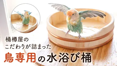 クラウドファンディングトップ画像