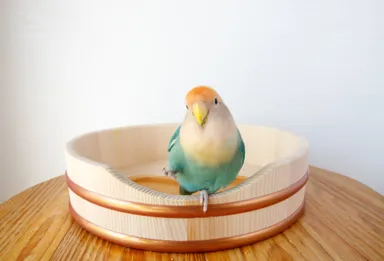 使用イメージ・ふち乗り