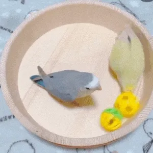 使用イメージ・鈴ボール