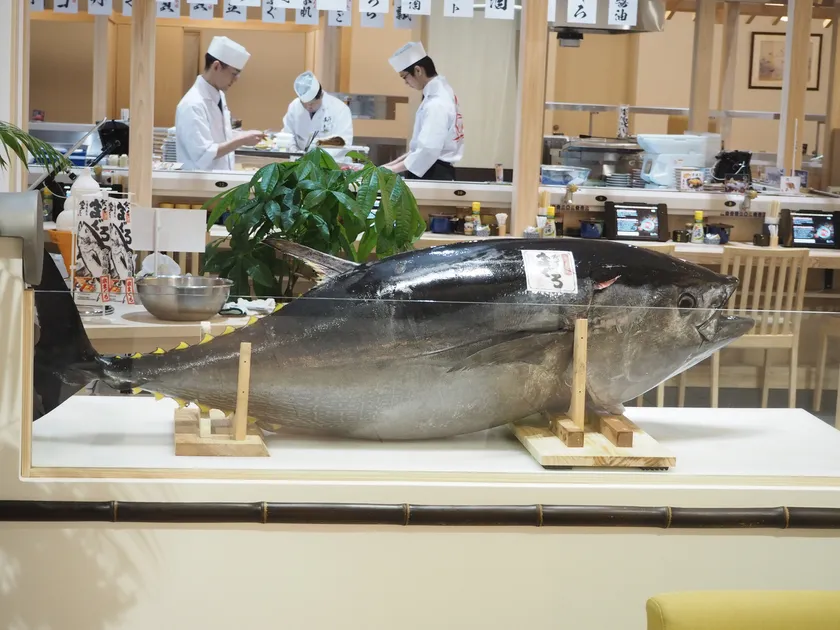 生本まぐろ解体ショー