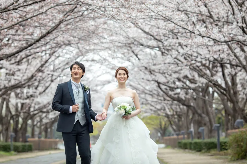 柏エリアイメージ(4)