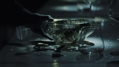 洗練された料理として昇華させた美食体験