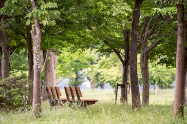 自然豊かな手賀沼公園
