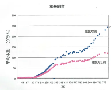 和金飼育実験データ