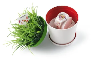 ブロッサミング・ラブ商品仕様