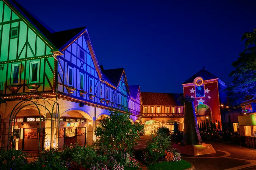 光の森~Forest of Illuminations~森の大聖堂 2025年サマーバージョン