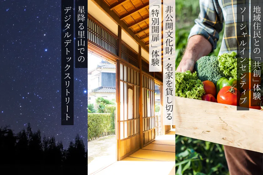 特別体験プラン