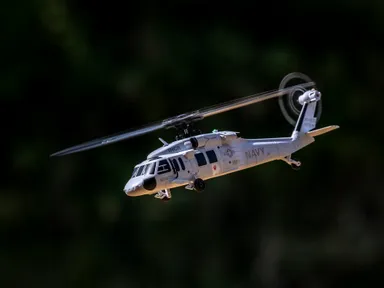 UH-60 INCRフライトイメージ