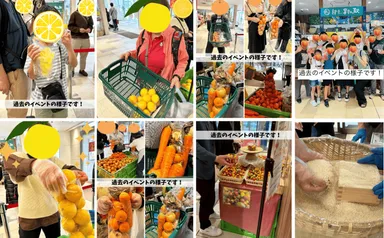 過去のイベントの様子