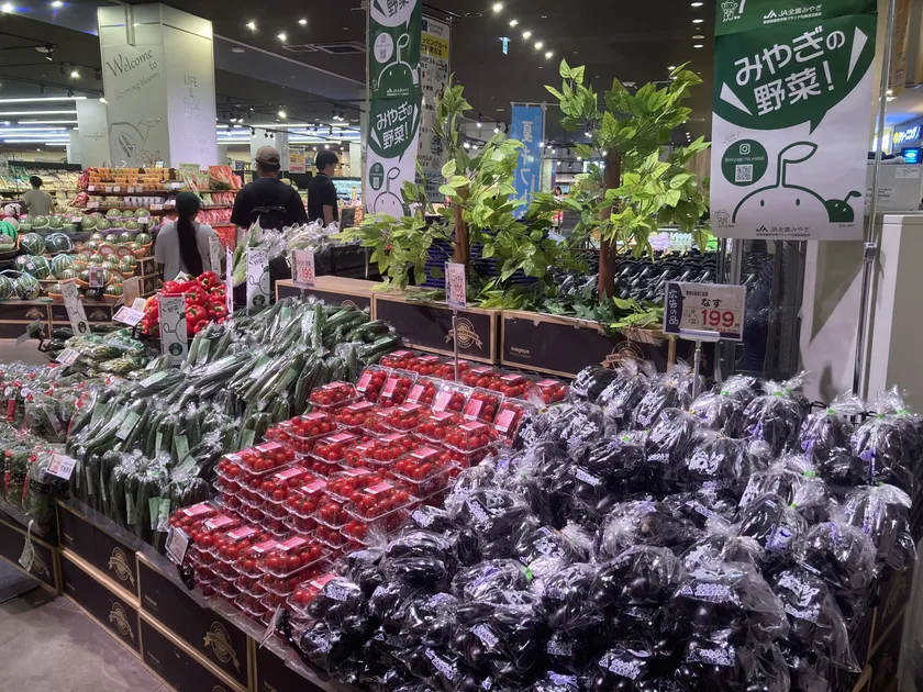 宮城県産の野菜
