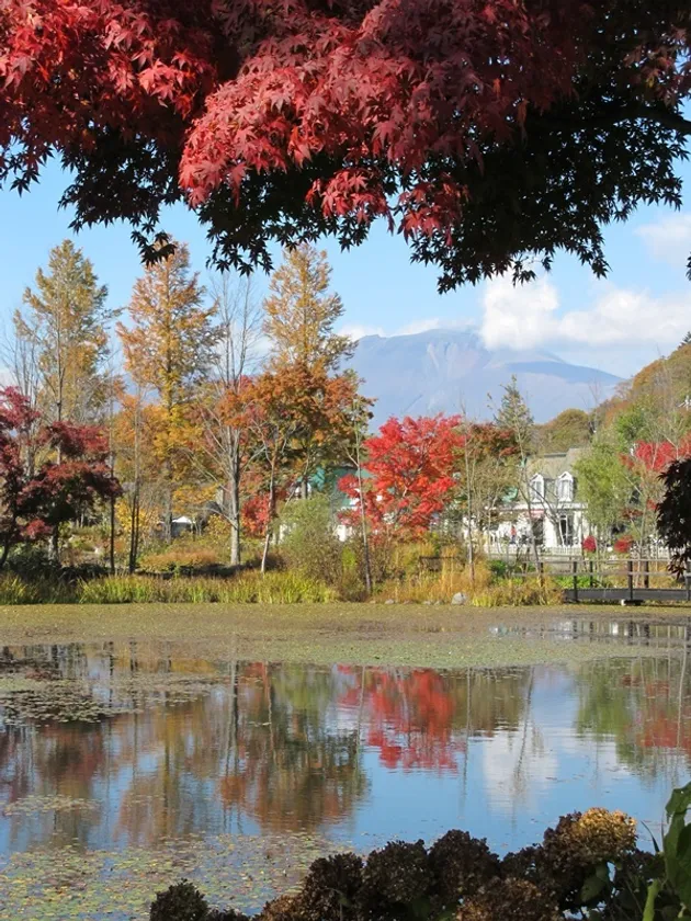 紅葉浅間山を望む