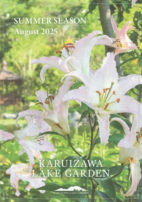 サマーシーズンフライヤー2025