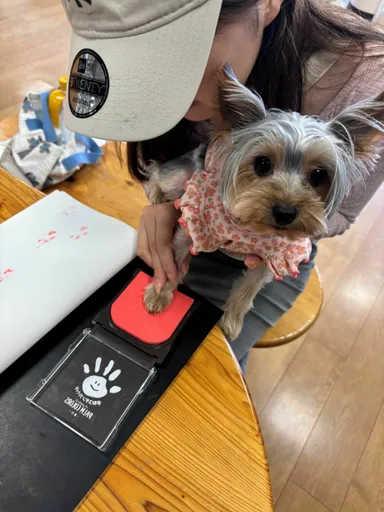 観光案内所で肉球スタンプを