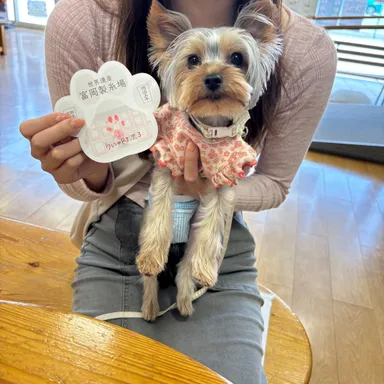 手続きの間に記念写真