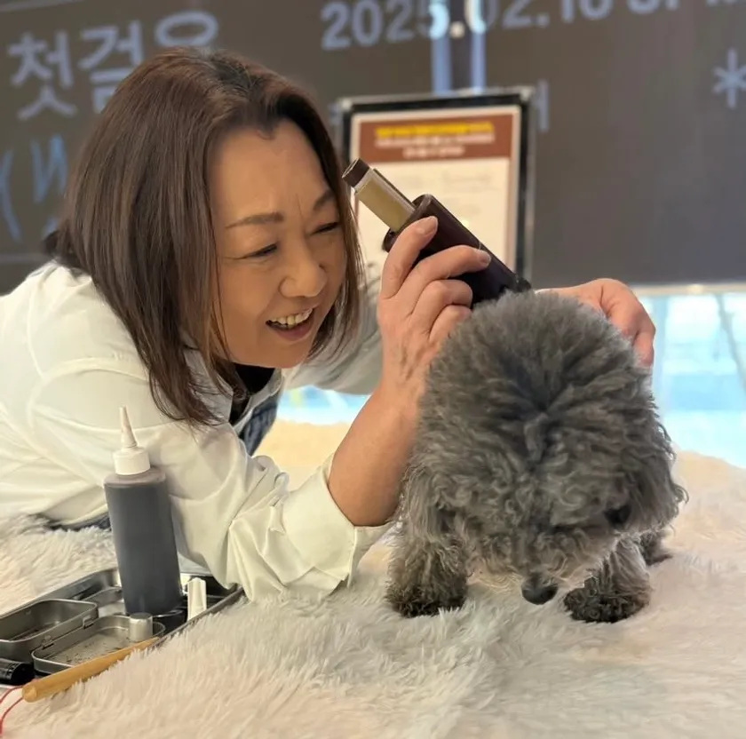 わんこのおきゅう In韓国