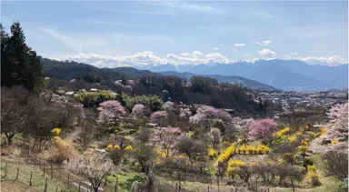 高遠ジャズ＆ブルースフェスティバル公式サイト