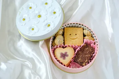 セレクトヴィーガンクッキー缶