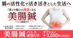 パルス付き美腸鍼