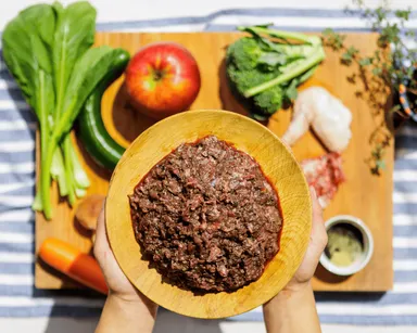 犬猫の自然食HUGBOX