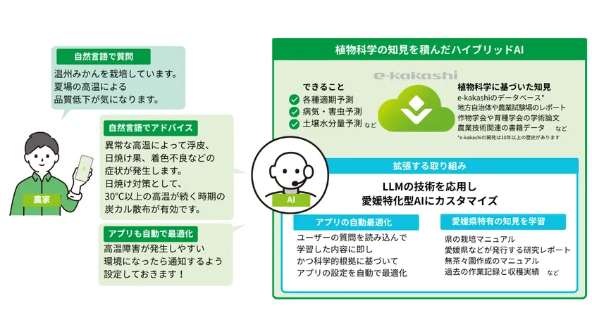 LLMを搭載した愛媛特化型AIのイメージ