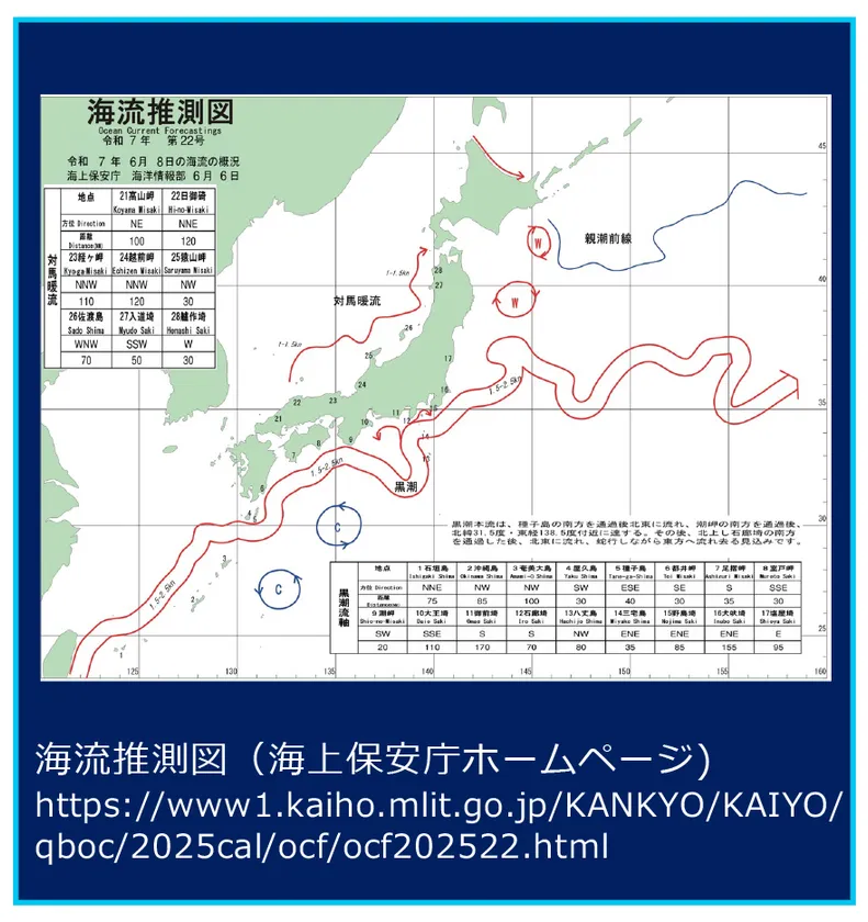 【解説】