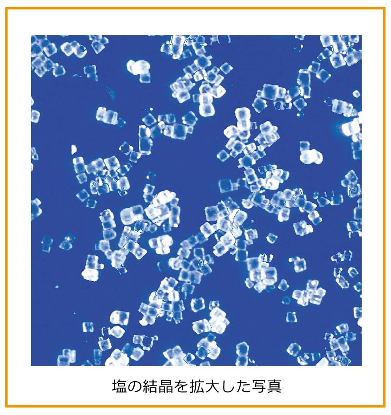 【解説】