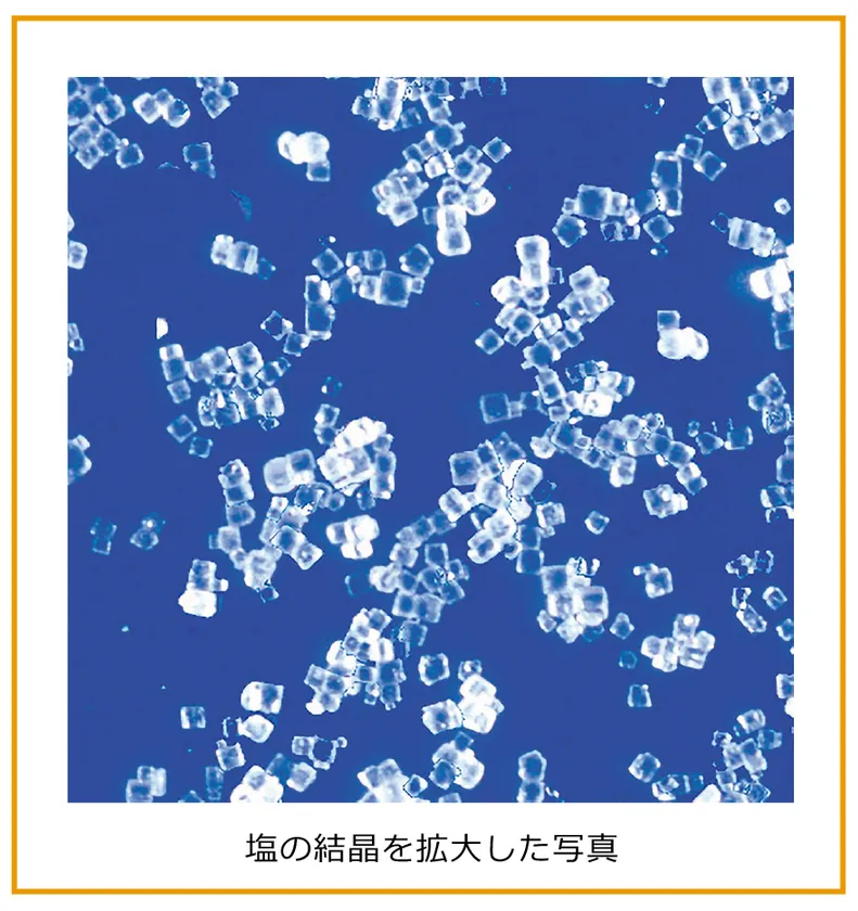 【解説】