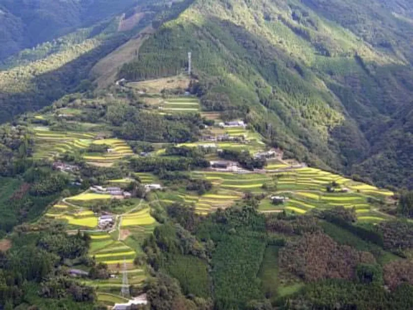 仙人の棚田1