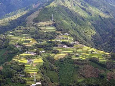 仙人の棚田1