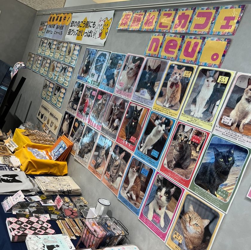 画像8