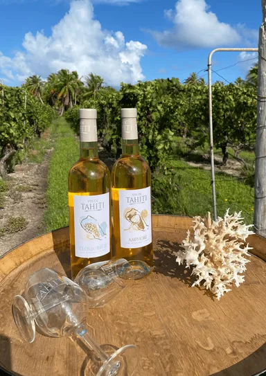 タヒチ産ワイン VIN DE TAHITI