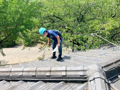 屋根の日活動写真4